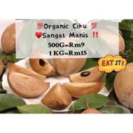 X COD 💯1kg Ciku❗️Organic Ciku Sangat Manis 💯