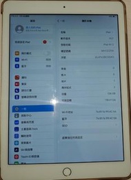 iPad Air2 (128G)