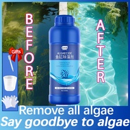 Free Algae Remover For Aquarium 550ML Solves All Algae Problems Aquarium Cleaner
