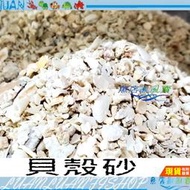 【魚店亂亂賣】天然貝殼沙2~6mm散裝1kg貝殼砂珊瑚骨海貝砂/海貝石/珊瑚砂/底砂/濾材防酸化/鈣石/龍魚缸等提升PH