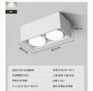 文記 - LED吸頂燈筒燈【白色-雙頭-14W-白光】 #M246013218