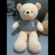 (HCM-Hỏa tốc 2h) Gấu bông Teddy Teddy khổng lồ Teddy mặc áo EDAS HOUSE