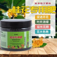 Osmanthus Dedicated Fertilizer Osmanthus Tree Blossom Dedicated Fertilizer Four Seasons Nitrogen Pho