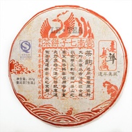 2008 Yuan Nian Nian Zi Hao ‘遠年年字號’ Aged Green Puer