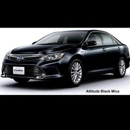 BEST CAT ATTITUDE BLACK 218