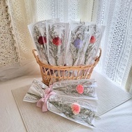 索拉康乃馨單支花束。擺飾。母親節花禮