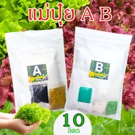 แม่ปุ๋ย AB เข้มข้น📌10 ลิตร🎯ถูกที่สุด 249บ.🎯สำหรับปลูกไฮโดรโปนิกส์ทุกระบบ🥬ผักสลัด🌿ผักไทย🥦ปุ๋ยไฮโดรโปน