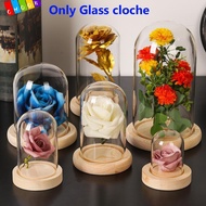 CHAAKIG Glass cloche Fairy Lights Plants Glass Vase Terrarium Transparent Bottle Flower Storage box