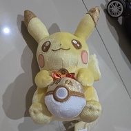 Pikachu plushie 30th anniversary