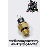 (C17) Benelli​ Switch​ Fan Radiator​ (93 Degrees) Direct Model​