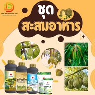 #ชุดสะสมอาหาร ก่อนการออกดอก ใบเพสลาด ( อะมิโนทุเรียน+ซูก้าร์บีท+4-24-24+แมกนีเซียมซัลเฟต ) #ดวงตะวัน