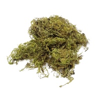 Dried Green Moss - Moss for Isopods