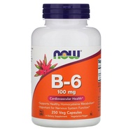 Now FOODS VITAMIN B6 100MG 250 CAPSULES 100MG