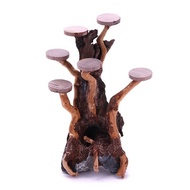 Moss Tree/ Java Moss/ Christmas Moss Aquarium decoration Wood Natural Drifwood Tree Fish Tank Backgr