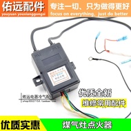 Brand New Gas Stove Igniter Two-Wire Double Point Stove Pulse Igniter Stove Igniter Gas Stove Ignite