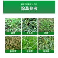 34% Enemy+Dichlorous Dichloroic Acid Rice Drought-Resistant Drought-Resistant Drought-Resistant Drou