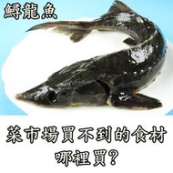 鱘龍魚~年菜套餐北海道生干貝孔雀貝淡菜風螺肉蘭花蚌透抽中卷軟絲尖卷墨魚章魚花枝黃瓜魚秋刀魚鱈魚翅雞佛海陸霸王蒲燒鰻魚大俠