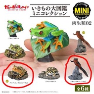 BANDAI 生物大圖鑑 兩棲類 第二彈 樹蛙 角蛙 蠑螈 饅頭蛙