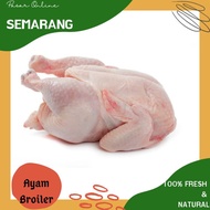 Ayam Boiler / Ayam Putih /Ayam Kampung / Ayam Segar / Murah / Fresh