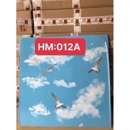 Plastic Ceiling Sheet Drop 012