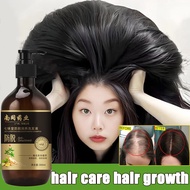 Hair growth shampoo ginger shampoo growth hair improve hair hair serum Anti hair loss hair regrowth