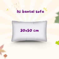 Sofa Cushion Filling 30x50 cm Minimalist Chair Cushion