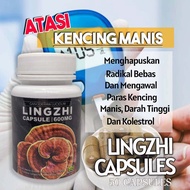 100% Ori Kapsul Lingzhi  Bio-Lingzhi  Halal Lingzhi 50 Capsule + Gift [ Ready Stock ] Terbaik Warant