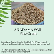 Japanese Akadama 1L Small Grain 3-5mm Medium Grain 8-10mm Top quality •Soil Additive for Growing Pot