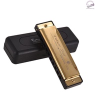 of C Diatonic Harmonica Kid 10 Holes Professional Key Reeds Instruments Surface Mouthorgan for Perfect Beginners Students ABS Design Blues with Mirror G Woodwind
