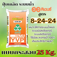🔴กระสอบ25Kg.🔴ปุ๋ยเกล็ด ออคิเดนซ์ 8-24-24 ระบบน้ำหยด ปุ๋ยให้ทางน้ำ ปุ๋ยละลายน้ำสะสมอาหาร เร่งขนาด เร่