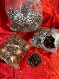全新 NEW 聖誕乾花🎄迷你金啡色/細白邊/純深啡色大小松果 Xmas pine cones nuts hanging / small white snow / mini gold brown / r