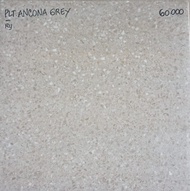 Platinum Ancona Grey 40 X 40 Keramik Lantai Kasar Garasi Taman