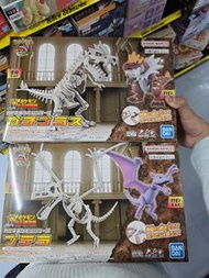 pokemon BANDAI 寶可夢 骨骼模型 化石博物館 化石翼龍 恐龍 怪顎龍