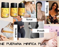 Jamu NE Pueraria Mirifica Plus Manjakani Montok Payudara Ketat missV by NE