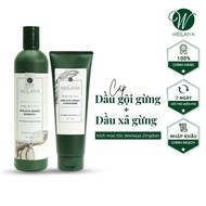 Weilaiya Shampoo Combo &amp; Hair Growth Serum To Prevent Hair Loss After 3 Weeks Of Use Top Mask Viet Nam