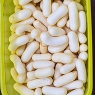 PILUS IKAN 1KG | PILUS TELUR IKAN | PILUS LONJONG | PILUS KILOAN | PILUS IKAN TENGGIRI | PILUS CIKUR