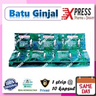 XPRESS ! Kejibeling STRIP isi 10 Kapsul Keji Beling Sea Horse Seahorse kuda laut ghensen Xpress Phar