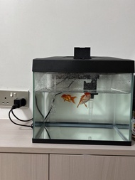 小型魚缸連濾水器及LED燈