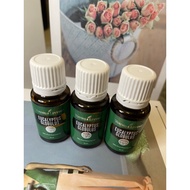 EUCALYPTUS GLOBULUS ESSENTIAL OIL