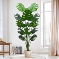 Detachable Artificial Monstera 2.3FT-6FT | PE Leaves, Lifelike, Ready Stock MY Fast Delivery