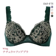 Wacoal Wing KB2062 Natural Up Bra (Sizes E-F)(40KB2062EF)(Direct from Japan)1