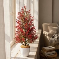 北海道冬季雪花松仿真綠植