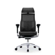 Ergohuman Pofit 2 Ergonomic Office Chair