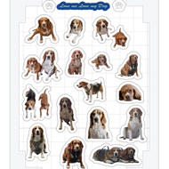 A5 Size Similar Sticker