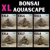 [Size XL] Exclusive Bonsai Aquascape | Kayu Rasamala | Bonzai Akuarium | Premium Design &amp; Quality 🌳