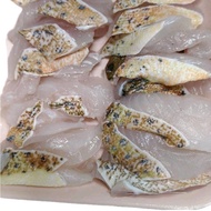 Fresh Frozen Red Grouper Slice 300g
