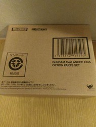 Gundam Avalanche Exia Option Parts Set 魂shop限定 雪崩高達配件 Metal Build