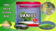 QUALITY FISH FOOD For DANIOS Buy 8 Get 2 Free