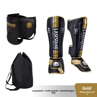 GINGPAI | MMA Protective Gear Set for Kids and Adults - Headgear Groin Guard Shin Guards Chest Prote