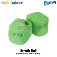 Chuckit! Erratic Ball Dog Toy